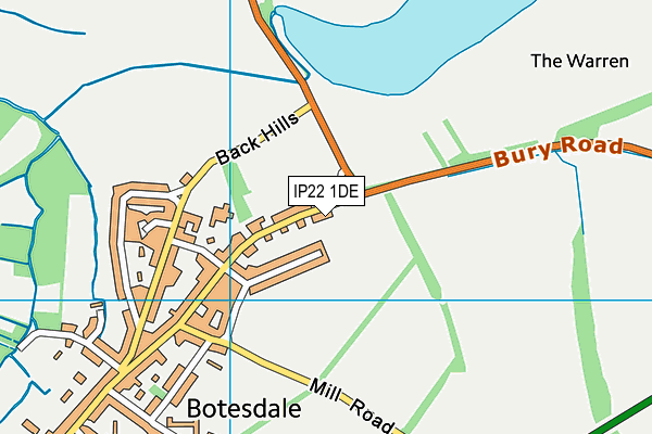 IP22 1DE map - OS VectorMap District (Ordnance Survey)