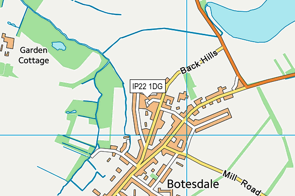 IP22 1DG map - OS VectorMap District (Ordnance Survey)