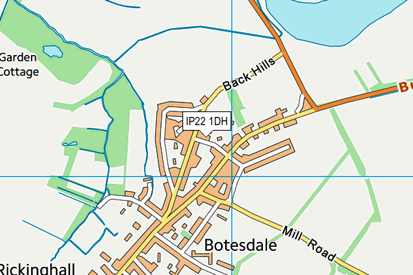 IP22 1DH map - OS VectorMap District (Ordnance Survey)