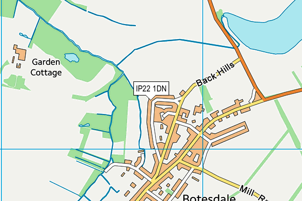 IP22 1DN map - OS VectorMap District (Ordnance Survey)