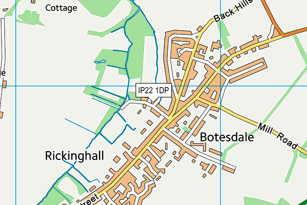 IP22 1DP map - OS VectorMap District (Ordnance Survey)