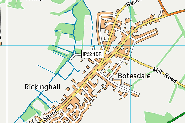 IP22 1DR map - OS VectorMap District (Ordnance Survey)