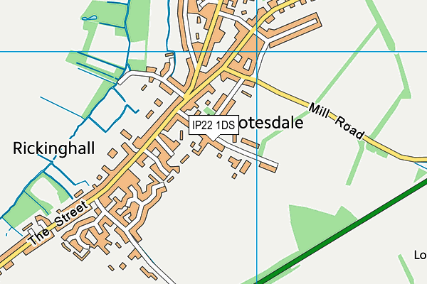 IP22 1DS map - OS VectorMap District (Ordnance Survey)