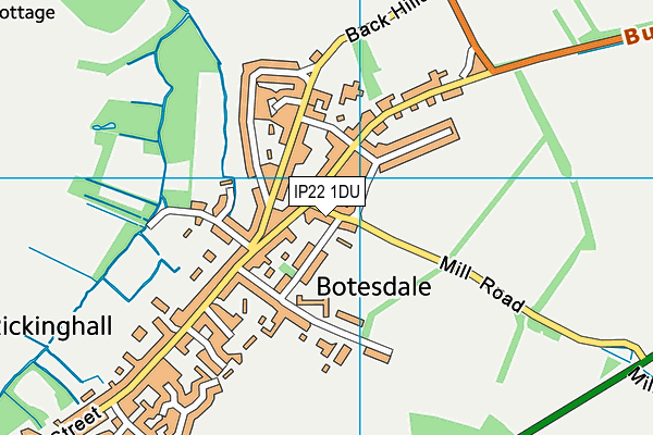 IP22 1DU map - OS VectorMap District (Ordnance Survey)