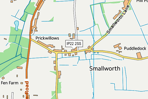 IP22 2SS map - OS VectorMap District (Ordnance Survey)