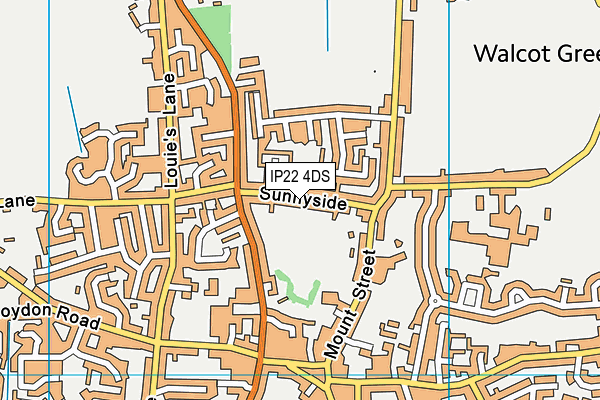 IP22 4DS map - OS VectorMap District (Ordnance Survey)