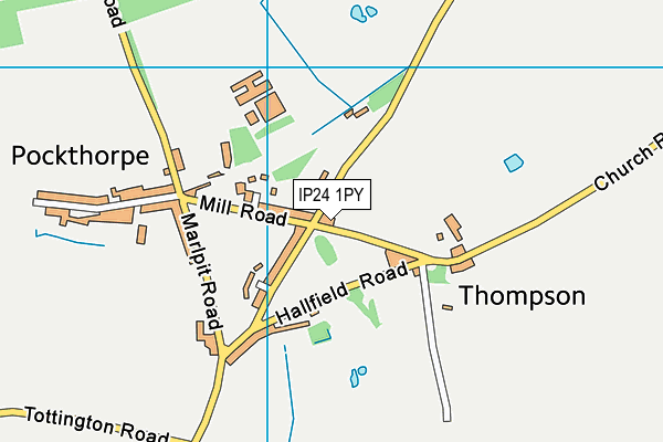 Thompson Primary School map (IP24 1PY) - OS VectorMap District (Ordnance Survey)