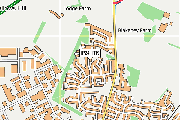 IP24 1TR map - OS VectorMap District (Ordnance Survey)