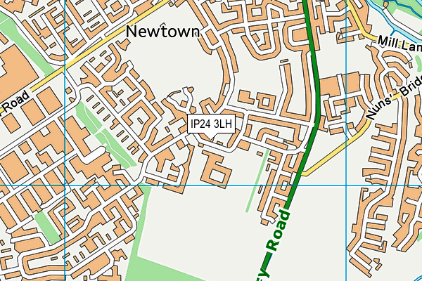 The Pinetree School map (IP24 3LH) - OS VectorMap District (Ordnance Survey)