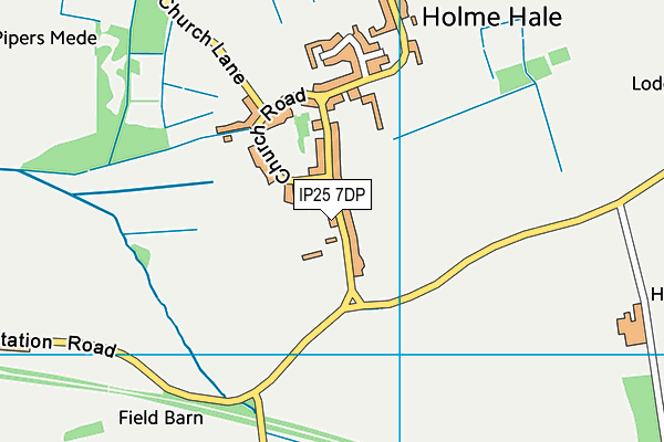 Holme Hale Playing Field map (IP25 7DP) - OS VectorMap District (Ordnance Survey)
