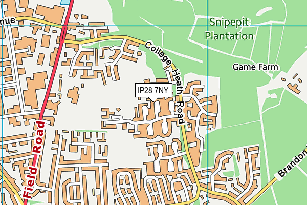 IP28 7NY map - OS VectorMap District (Ordnance Survey)