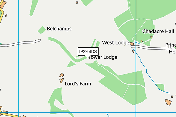 IP29 4DS map - OS VectorMap District (Ordnance Survey)