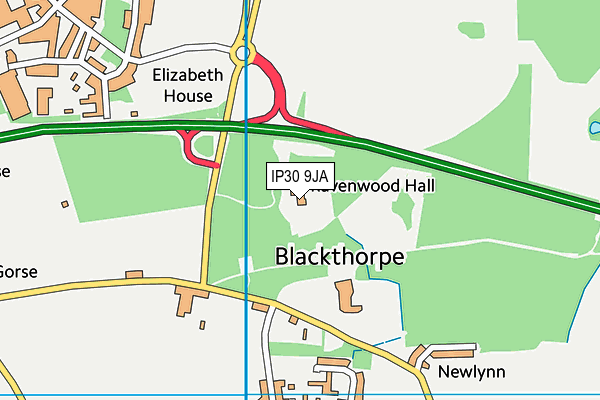 IP30 9JA map - OS VectorMap District (Ordnance Survey)