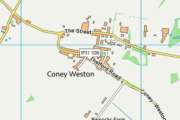 IP31 1DN map - OS VectorMap District (Ordnance Survey)