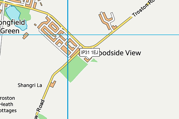 IP31 1EJ map - OS VectorMap District (Ordnance Survey)