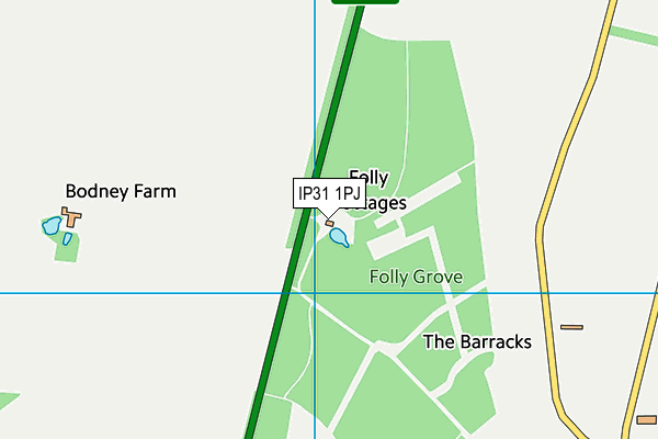 IP31 1PJ map - OS VectorMap District (Ordnance Survey)