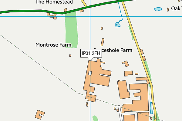 IP31 2FH map - OS VectorMap District (Ordnance Survey)