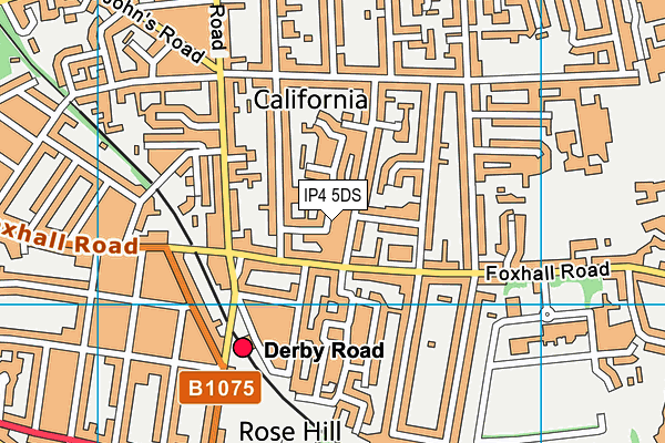 IP4 5DS map - OS VectorMap District (Ordnance Survey)