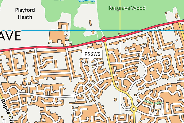 IP5 2WS map - OS VectorMap District (Ordnance Survey)