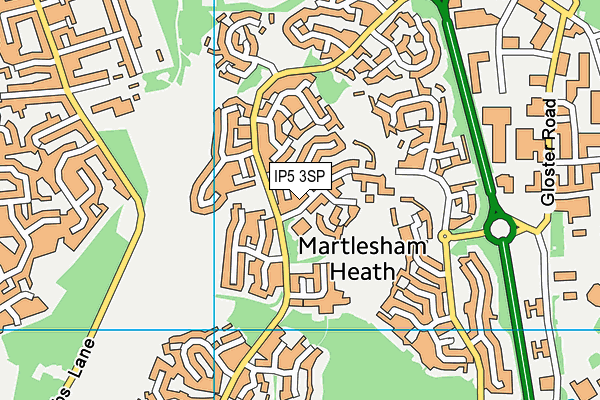 Birchwood Primary School map (IP5 3SP) - OS VectorMap District (Ordnance Survey)