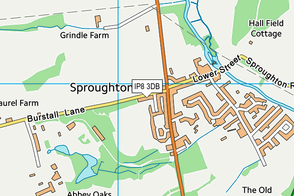 IP8 3DB map - OS VectorMap District (Ordnance Survey)