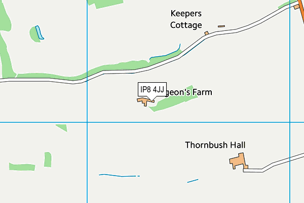 IP8 4JJ map - OS VectorMap District (Ordnance Survey)