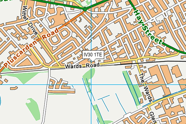 IV30 1TE map - OS VectorMap District (Ordnance Survey)