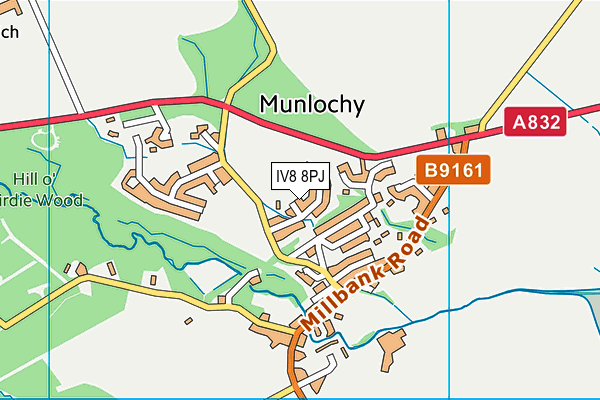 IV8 8PJ map - OS VectorMap District (Ordnance Survey)