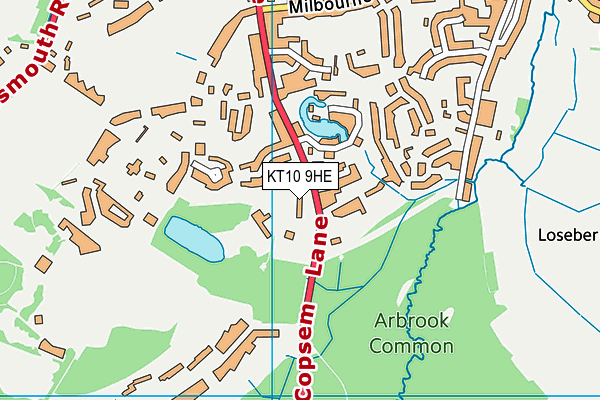 KT10 9HE map - OS VectorMap District (Ordnance Survey)