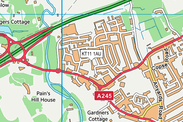 KT11 1AU map - OS VectorMap District (Ordnance Survey)