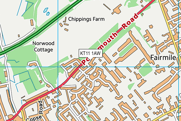 KT11 1AW map - OS VectorMap District (Ordnance Survey)