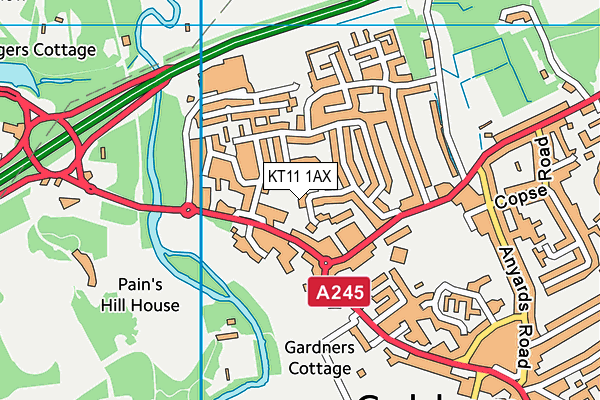 KT11 1AX map - OS VectorMap District (Ordnance Survey)