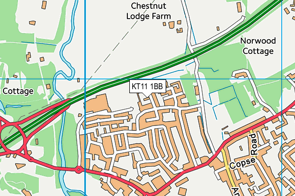 KT11 1BB map - OS VectorMap District (Ordnance Survey)
