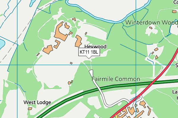 ACS Cobham International School map (KT11 1BL) - OS VectorMap District (Ordnance Survey)