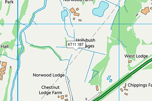 KT11 1BT map - OS VectorMap District (Ordnance Survey)