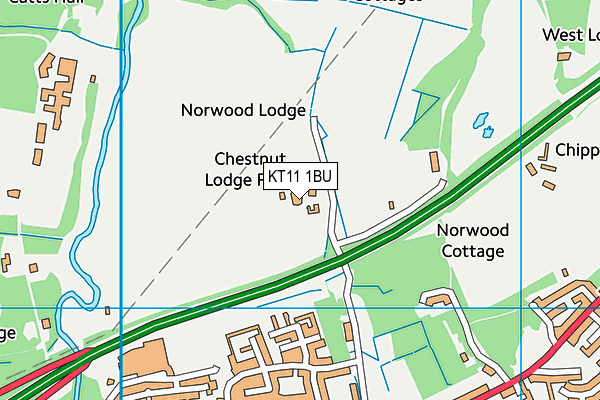 KT11 1BU map - OS VectorMap District (Ordnance Survey)