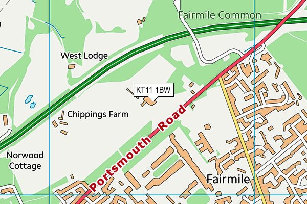 KT11 1BW map - OS VectorMap District (Ordnance Survey)