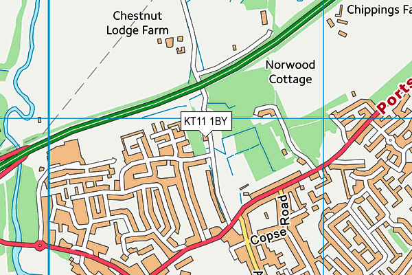 KT11 1BY map - OS VectorMap District (Ordnance Survey)