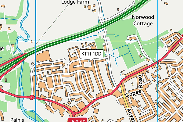 KT11 1DD map - OS VectorMap District (Ordnance Survey)