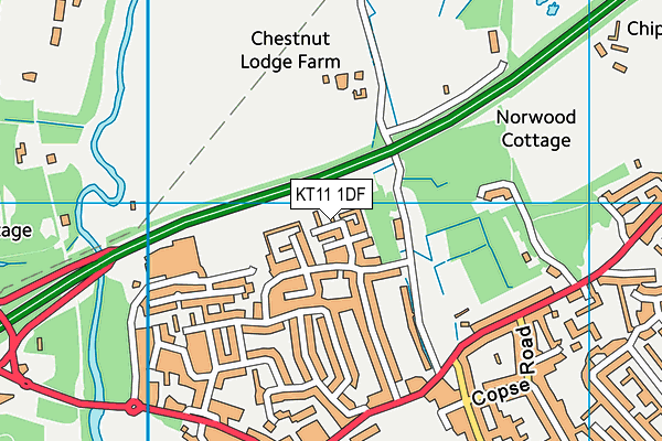 KT11 1DF map - OS VectorMap District (Ordnance Survey)