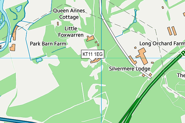 KT11 1EG map - OS VectorMap District (Ordnance Survey)