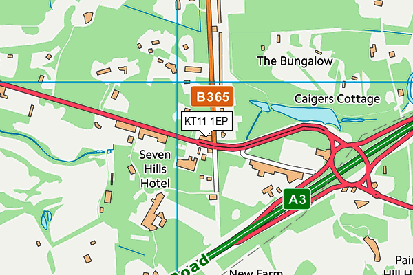 KT11 1EP map - OS VectorMap District (Ordnance Survey)