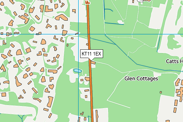 KT11 1EX map - OS VectorMap District (Ordnance Survey)