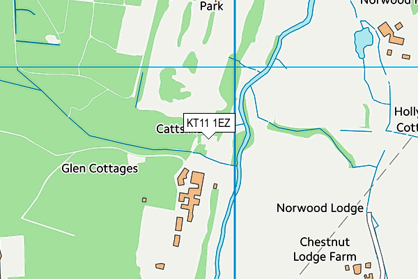 KT11 1EZ map - OS VectorMap District (Ordnance Survey)