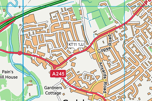 KT11 1JJ map - OS VectorMap District (Ordnance Survey)