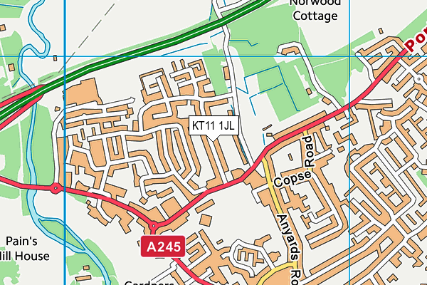 KT11 1JL map - OS VectorMap District (Ordnance Survey)