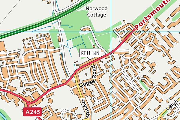 KT11 1JN map - OS VectorMap District (Ordnance Survey)