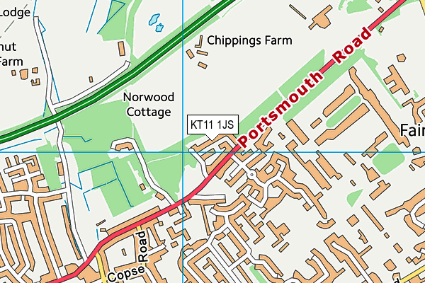 KT11 1JS map - OS VectorMap District (Ordnance Survey)