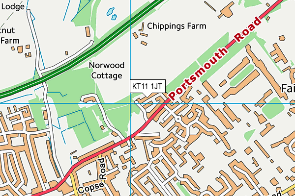 KT11 1JT map - OS VectorMap District (Ordnance Survey)