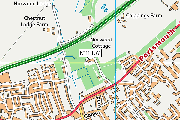 KT11 1JW map - OS VectorMap District (Ordnance Survey)